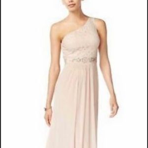 Lk NEW! $179 Adrianna Papell Blush Love Story Bridesmaid Lace Gown Dress 6